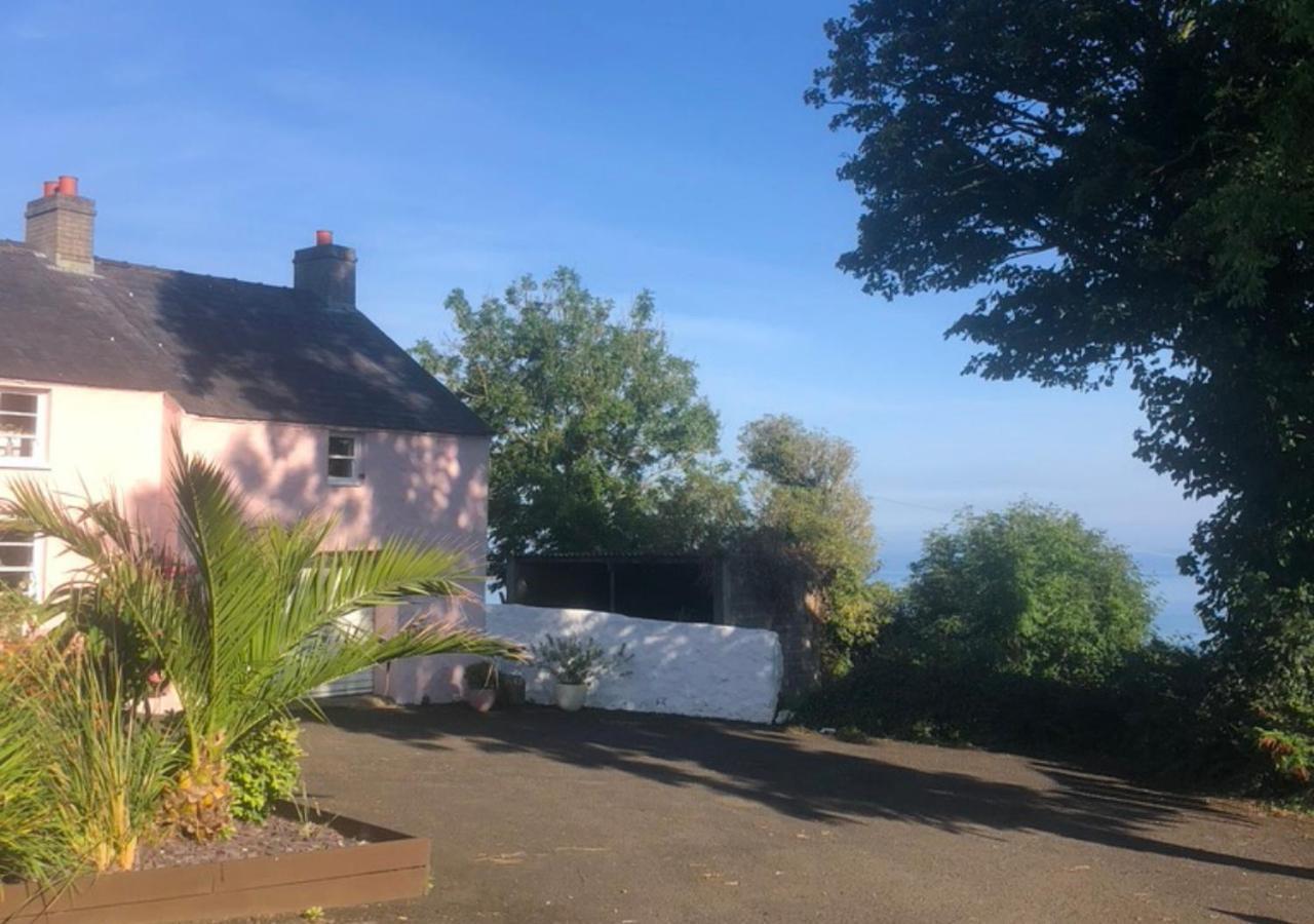 The Pink Cottage Upstairs Suite & Garden Summer Room Whitehead Kültér fotó
