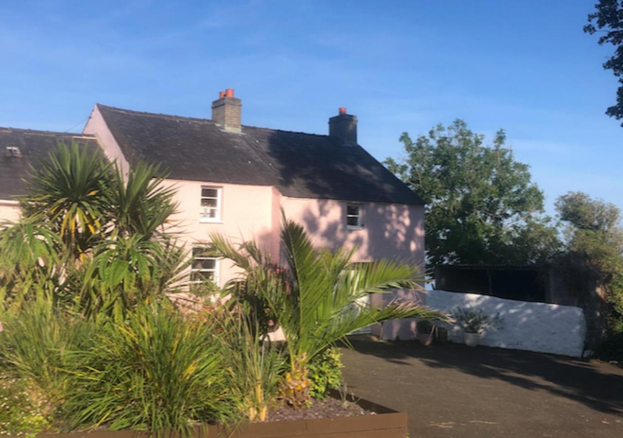 The Pink Cottage Upstairs Suite & Garden Summer Room Whitehead Kültér fotó