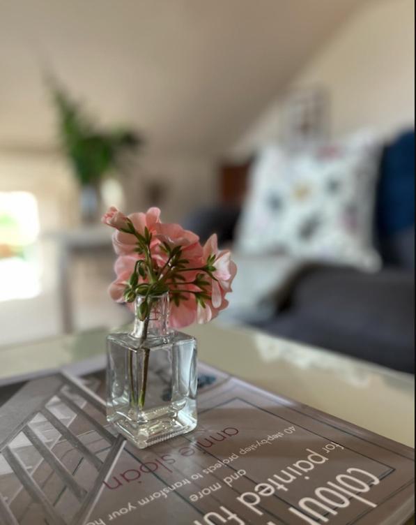 The Pink Cottage Upstairs Suite & Garden Summer Room Whitehead Kültér fotó