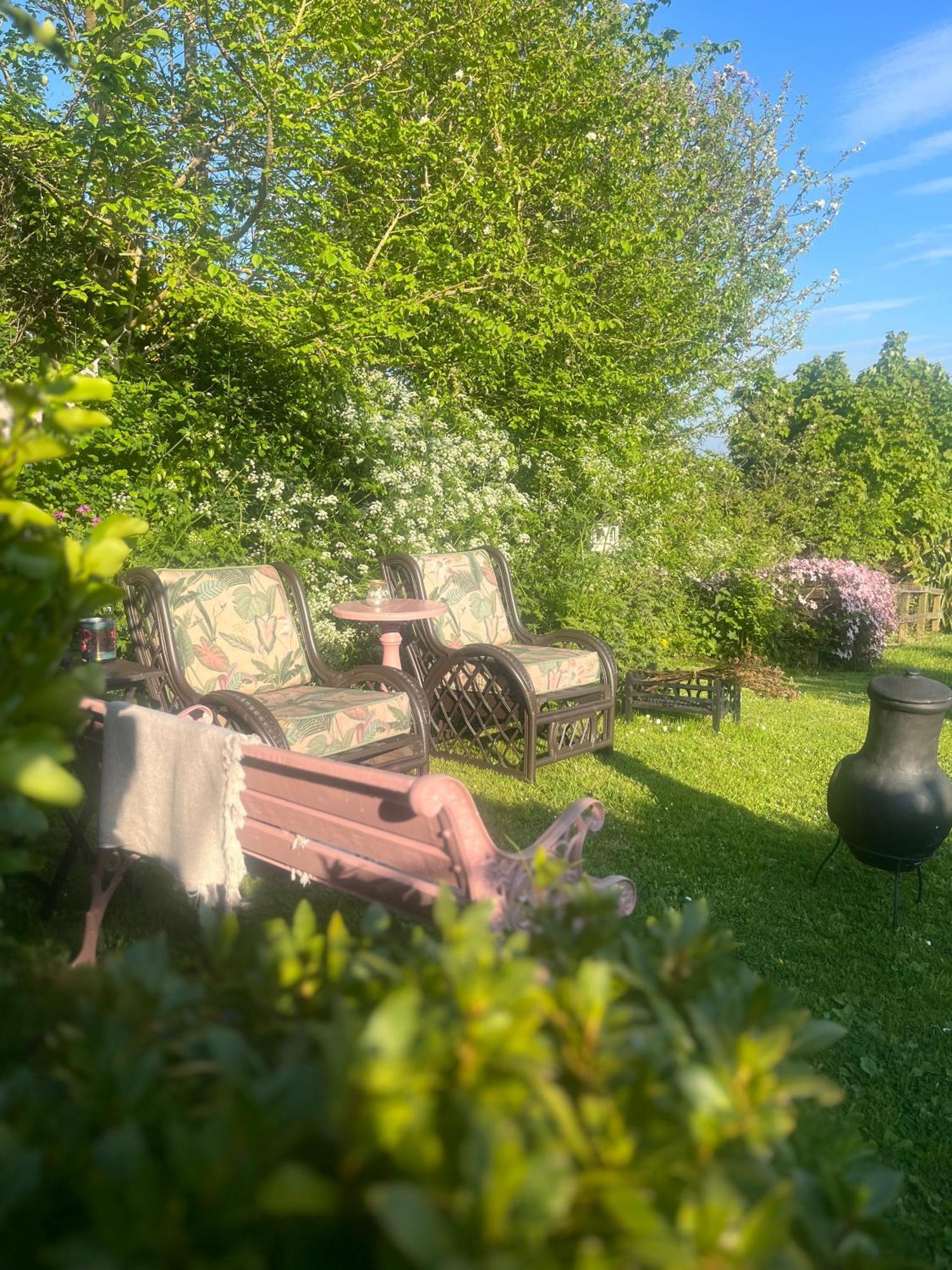 The Pink Cottage Upstairs Suite & Garden Summer Room Whitehead Kültér fotó