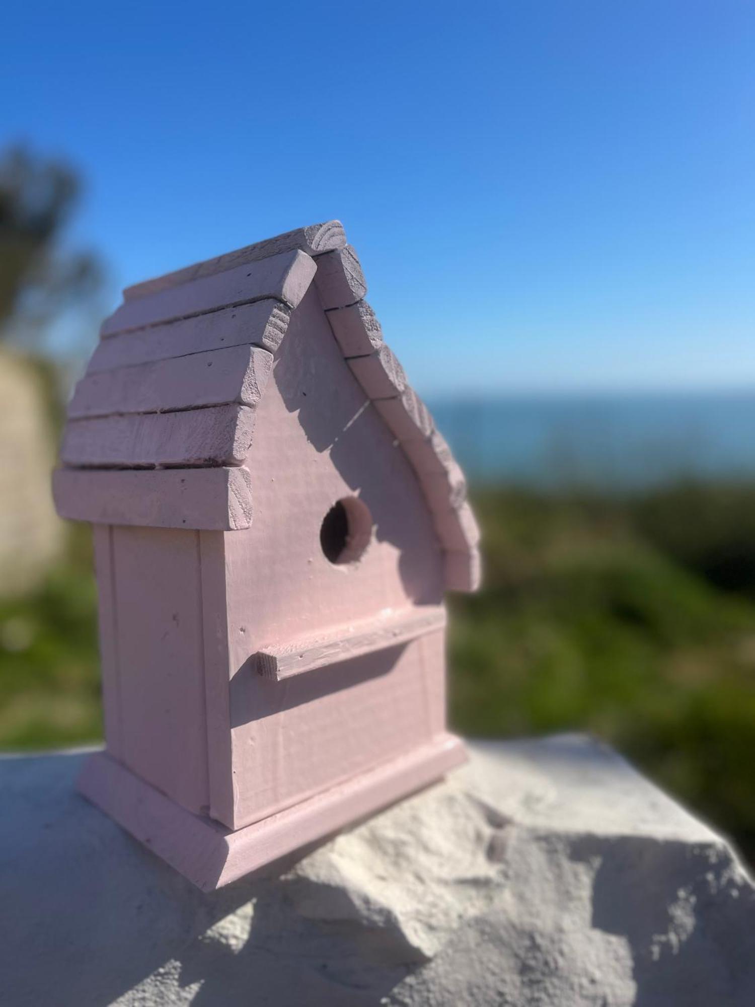 The Pink Cottage Upstairs Suite & Garden Summer Room Whitehead Kültér fotó